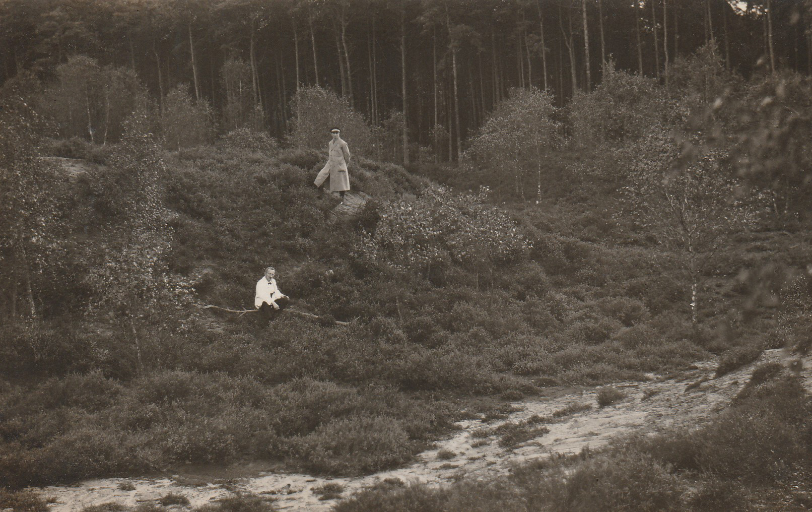 theehuis in de Dennen